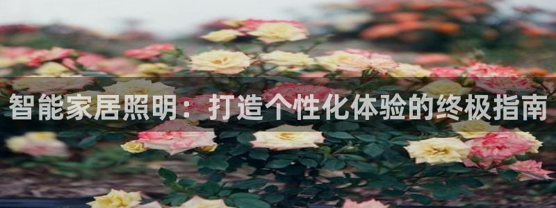 智能家居照明：打造个性化体验的终极指南