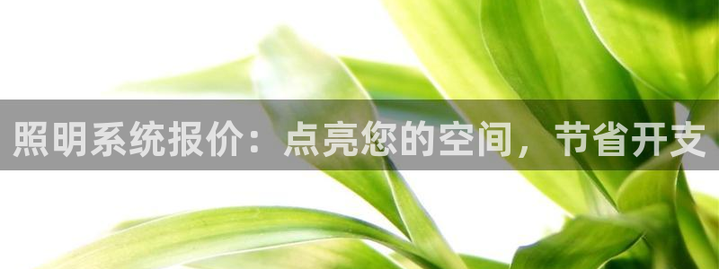 照明系统报价：点亮您的空间，节省开支