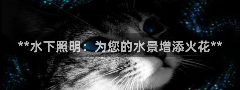 **水下照明：为您的水景增添火花**