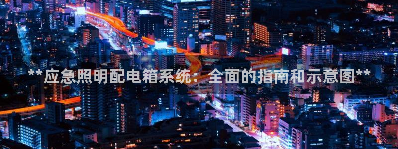 **应急照明配电箱系统：全面的指南和示意图**