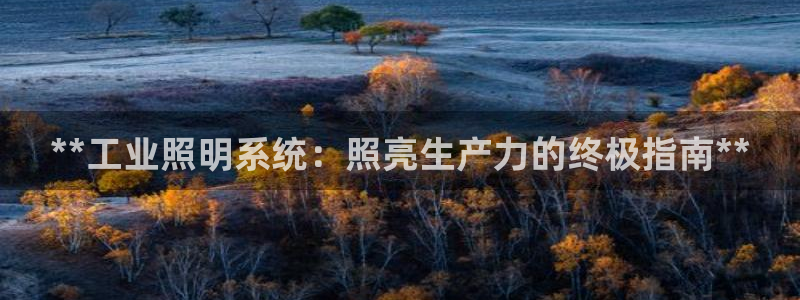 **工业照明系统：照亮生产力的终极指南**