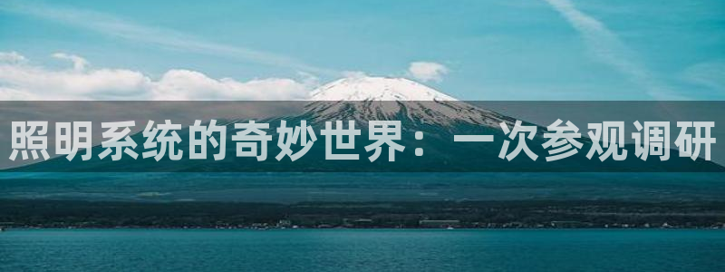 照明系统的奇妙世界：一次参观调研