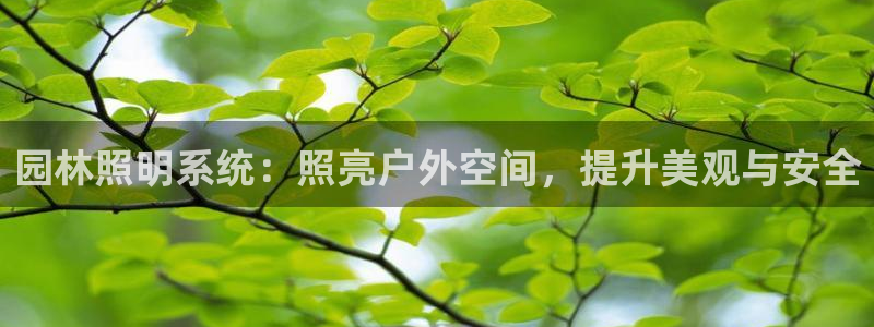 园林照明系统：照亮户外空间，提升美观与安全