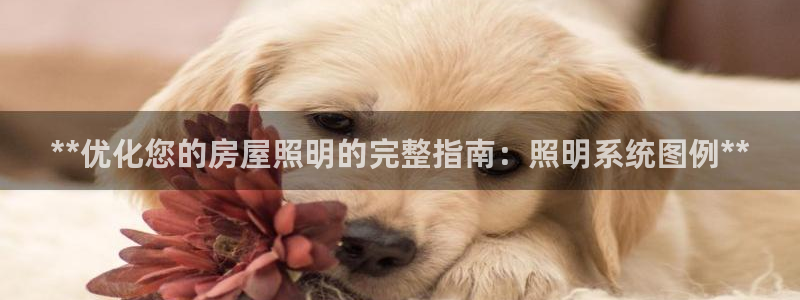**优化您的房屋照明的完整指南：照明系统图例**