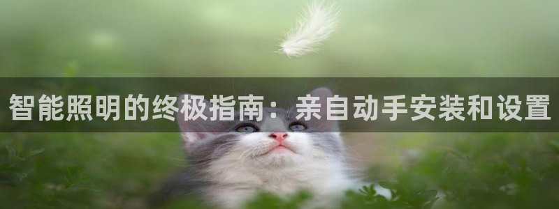 智能照明的终极指南：亲自动手安装和设置