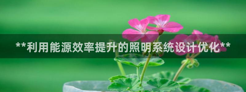**利用能源效率提升的照明系统设计优化**