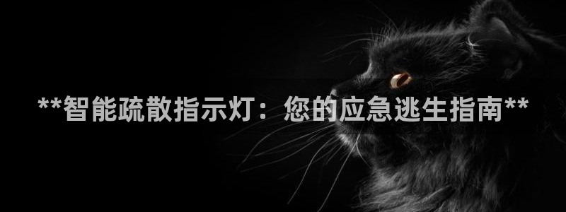 **智能疏散指示灯：您的应急逃生指南**