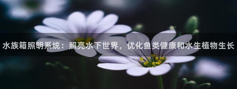 水族箱照明系统：照亮水下世界，优化鱼类健康和水生植物生长