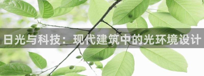 日光与科技：现代建筑中的光环境设计