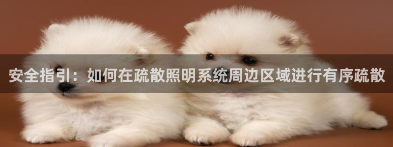 安全指引：如何在疏散照明系统周边区域进行有序疏散