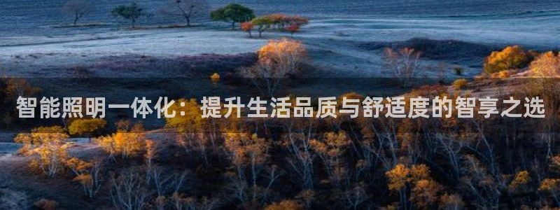 智能照明一体化：提升生活品质与舒适度的智享之选