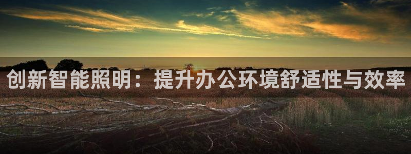 创新智能照明：提升办公环境舒适性与效率