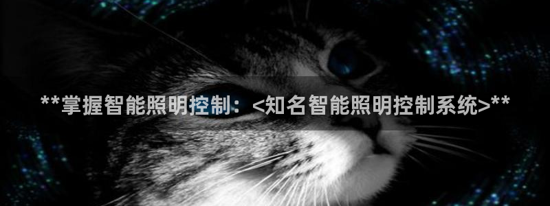 **掌握智能照明控制：<知名智能照明控制
