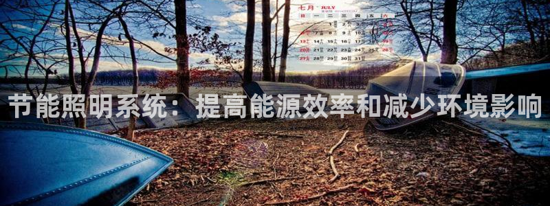 节能照明系统：提高能源效率和减少环境影响