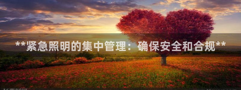 **紧急照明的集中管理：确保安全和合规**