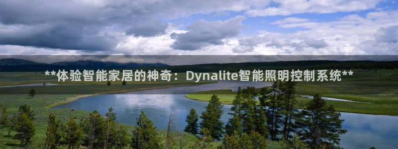 **体验智能家居的神奇：Dynalite智能照明控制系统**