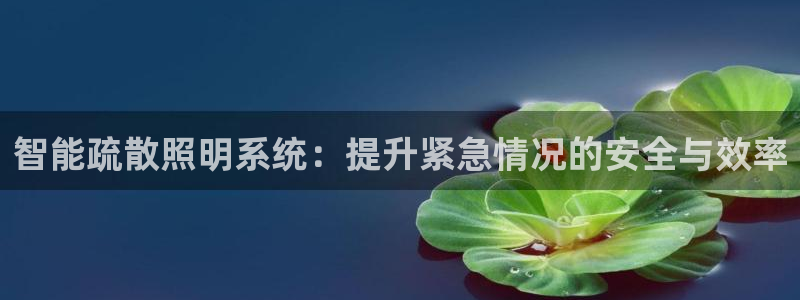 智能疏散照明系统：提升紧急情况的安全与效率