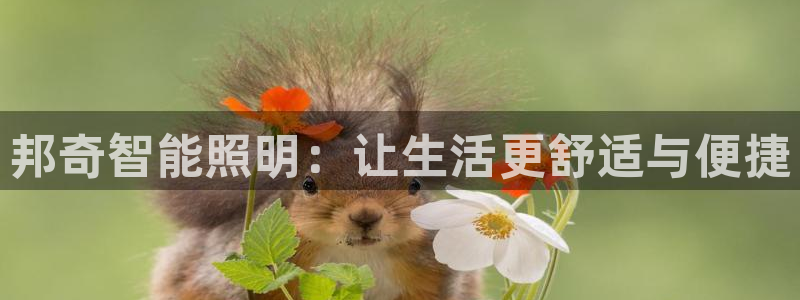 邦奇智能照明：让生活更舒适与便捷