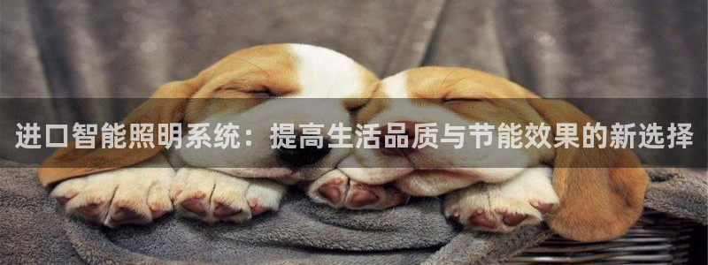 进口智能照明系统：提高生活品质与节能效果