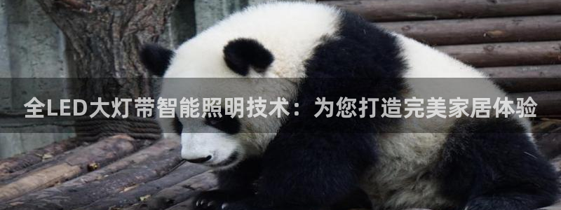 全LED大灯带智能照明技术:为您打造完美家居体验