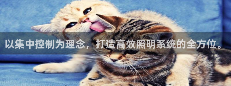 以集中控制为理念,打造高效照明系统的全方位。