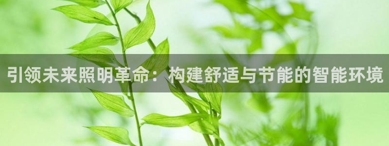 引领未来照明革命：构建舒适与节能的智能环境