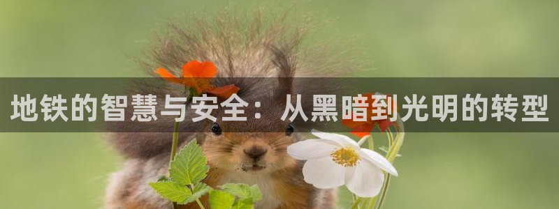 地铁的智慧与安全:从黑暗到光明的转型
