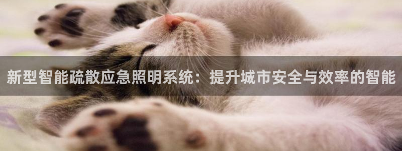 新型智能疏散应急照明系统：提升城市安全与效率的智能