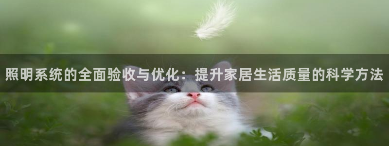 照明系统的全面验收与优化：提升家居生活质量的科学方法