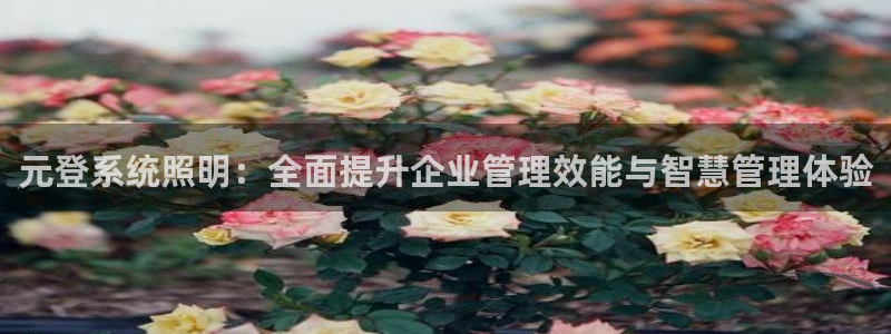 元登系统照明：全面提升企业管理效能与智慧