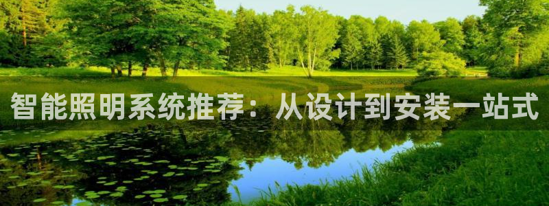 智能照明系统推荐:从设计到安装一站式