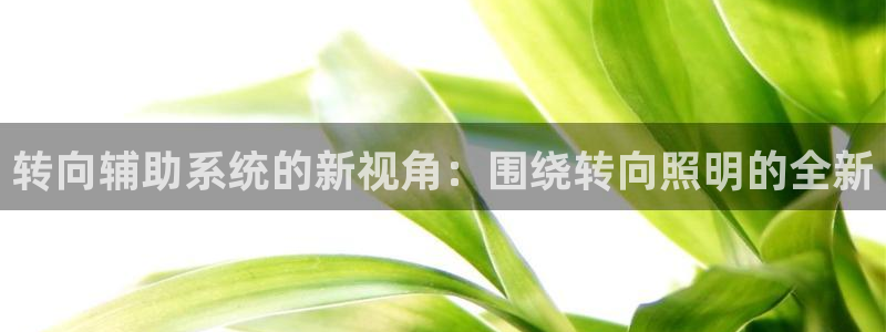 转向辅助系统的新视角：围绕转向照明的全新