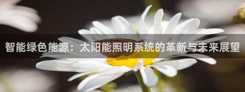 智能绿色能源：太阳能照明系统的革新与未来展望