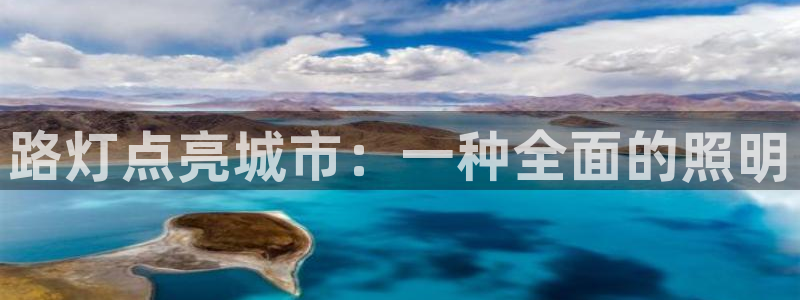 路灯点亮城市：一种全面的照明