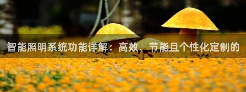 智能照明系统功能详解:高效、节能且个性化