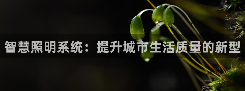 智慧照明系统：提升城市生活质量的新型