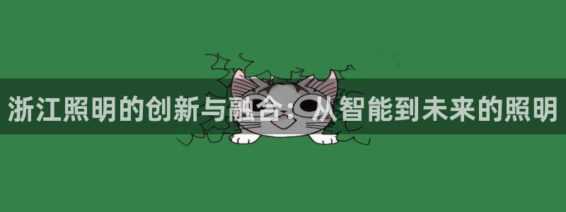 浙江照明的创新与融合：从智能到未来的照明