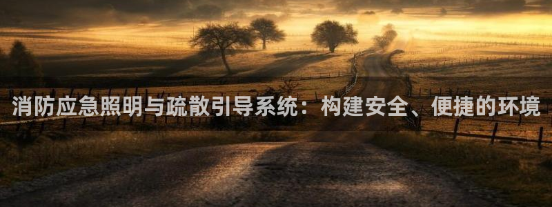 消防应急照明与疏散引导系统：构建安全、便捷的环境