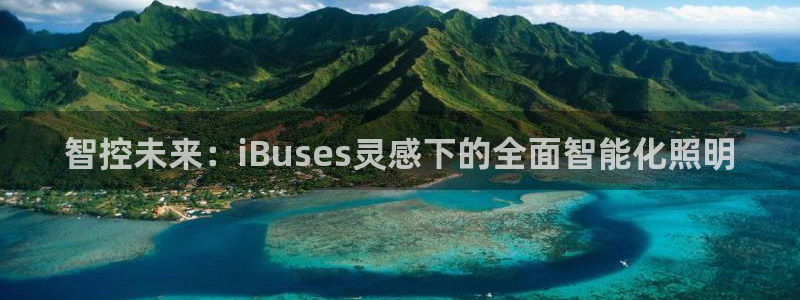 智控未来：iBuses灵感下的全面智能化照明