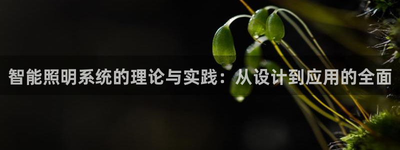 智能照明系统的理论与实践：从设计到应用的