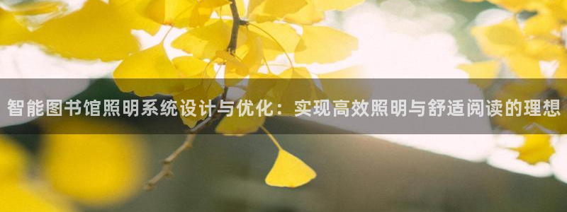 智能图书馆照明系统设计与优化：实现高效照明与舒适阅读的理想