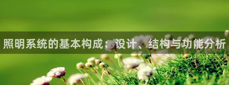 照明系统的基本构成：设计、结构与功能分析