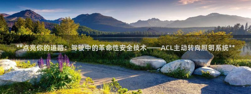 **点亮你的道路：驾驶中的革命性安全技术——ACL主动转向照明系统**