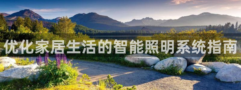 优化家居生活的智能照明系统指南