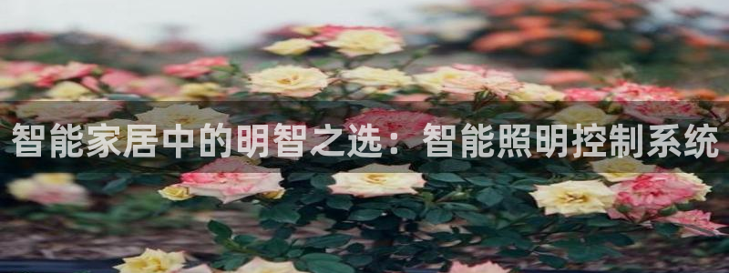 智能家居中的明智之选：智能照明控制系统