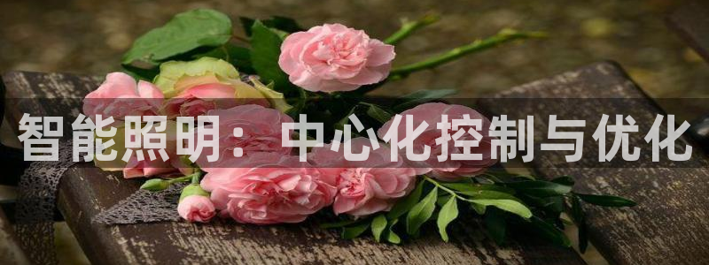 智能照明：中心化控制与优化