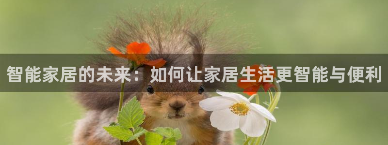 智能家居的未来：如何让家居生活更智能与便利