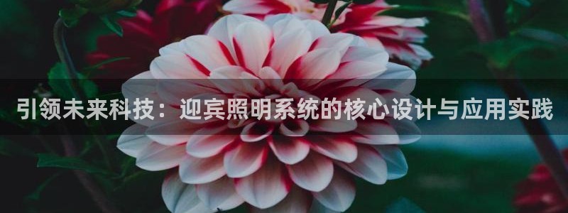 引领未来科技：迎宾照明系统的核心设计与应用实践