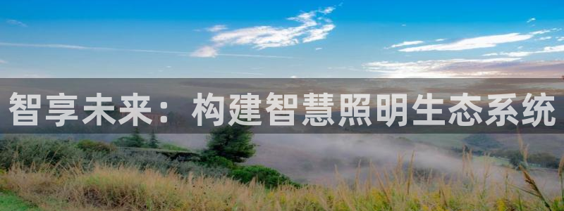 智享未来：构建智慧照明生态系统