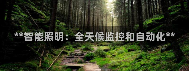 **智能照明：全天候监控和自动化**